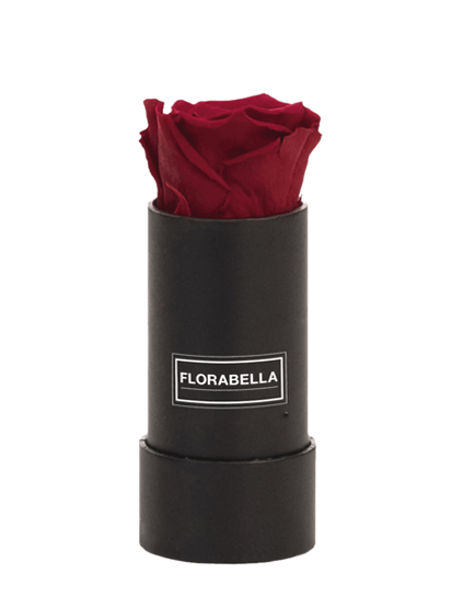xs-schwarz-classic-burgundy