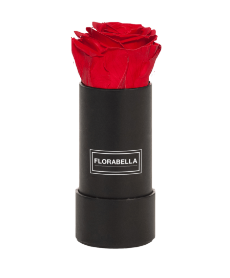 xs-schwarz-classic-royal-red