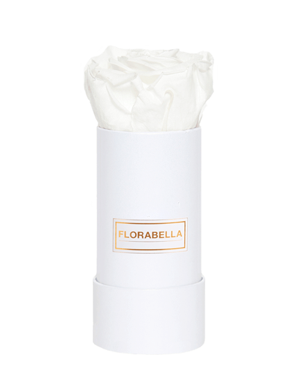 xs-weiss-rosegold-pure-white