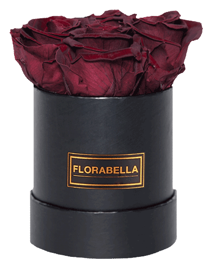 s-schwarz-rosegold-burgundy