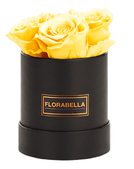 s-schwarz-rosegold-sunny-yellow