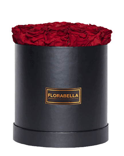 l-schwarz-rosegold-royal-red