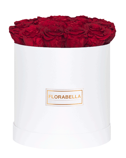 l-weiss-rosegold-royal-red