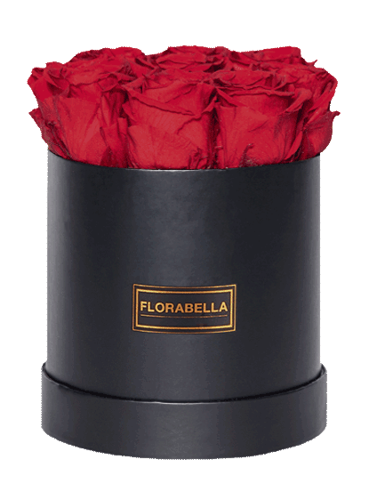 m-schwarz-rosegold-royal-red
