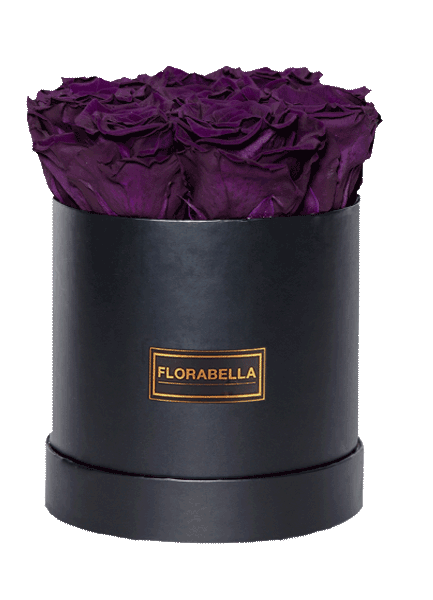 m-schwarz-rosegold-violet-vain