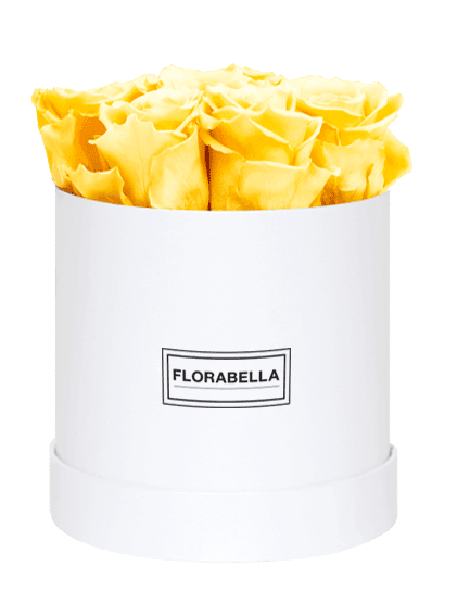 m-weiss-classic-sunny-yellow