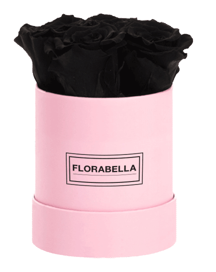 s-pink-black-beauty