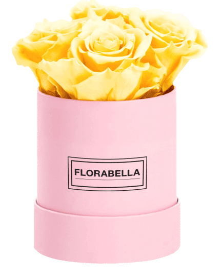 s-pink-sunny-yellow