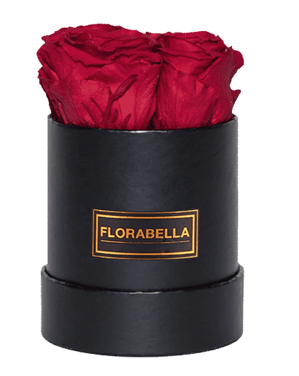 s-schwarz-rosegold-royal-red