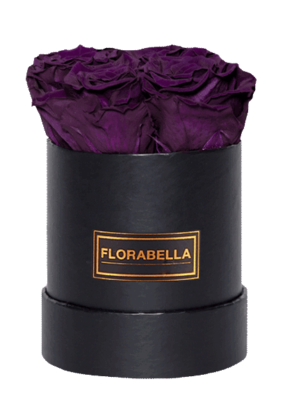 s-schwarz-rosegold-violet-vain