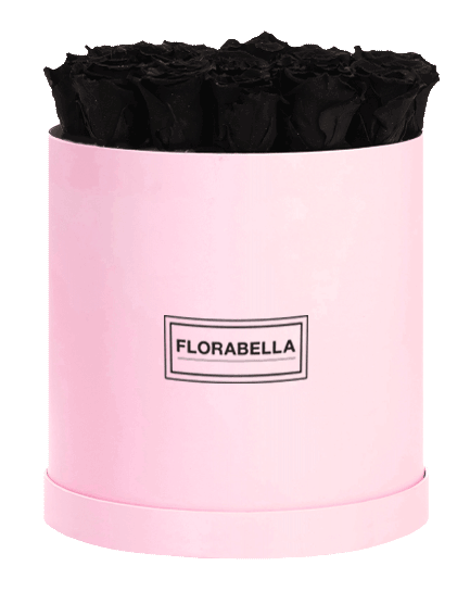 xl-pink-black-beauty
