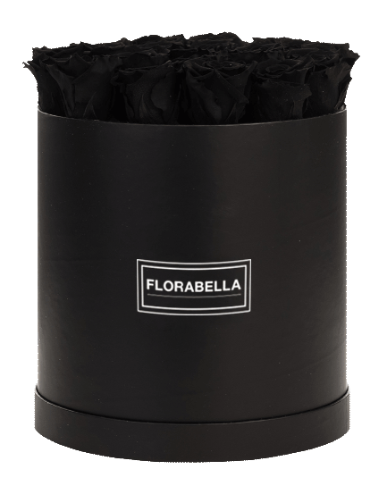 xl-schwarz-classic-black-beauty