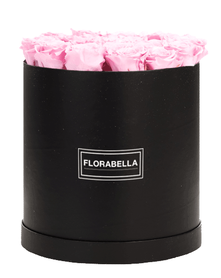 xl-schwarz-classic-bridal-pink