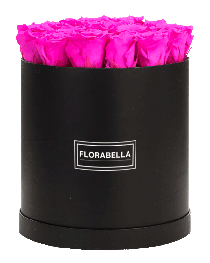 xl-schwarz-classic-hot-pink