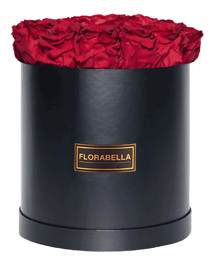 xl-schwarz-rosegold-royal-red