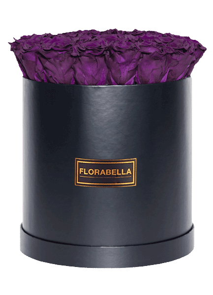 xl-schwarz-rosegold-violet-vain