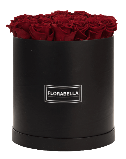 xl-schwarz-classic-royal-red