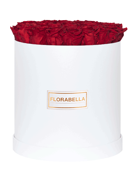 xl-weiss-rosegold-royal-red