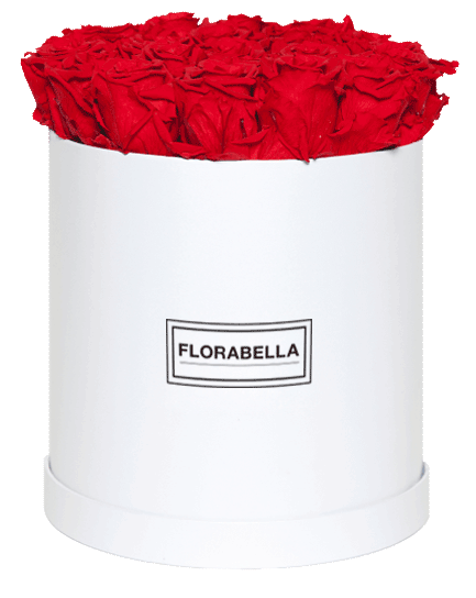 xl-weiss-classic-royal-red