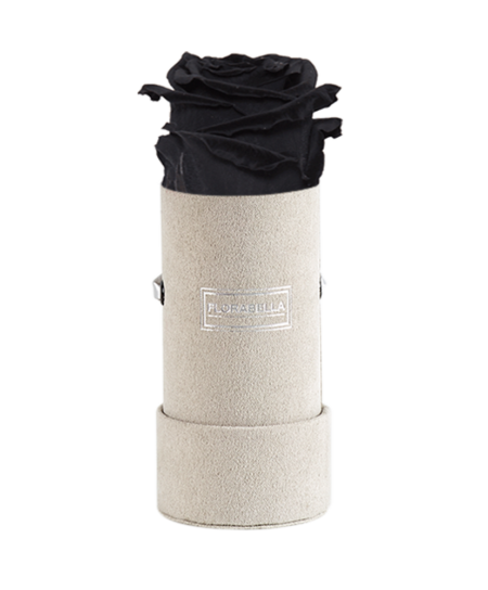 xs-greyvelvet-black-beauty-lily