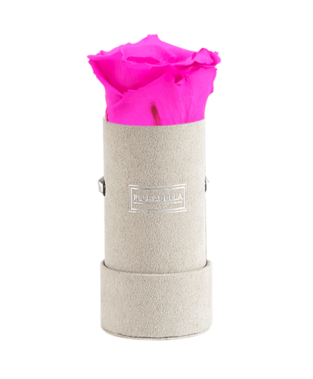 xs-greyvelvet-hot-pink