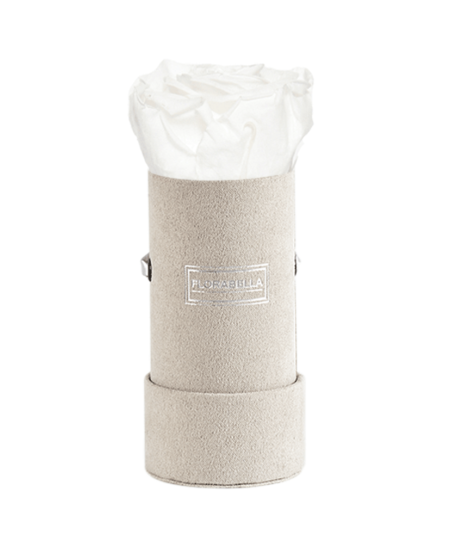 xs-greyvelvet-pure-white-lily