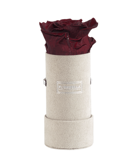 xs-greyvelvet-royal-red