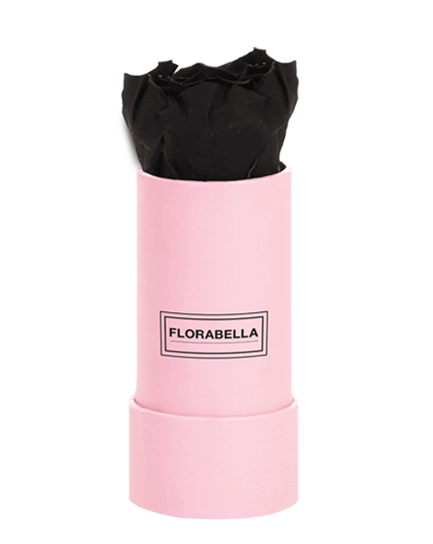 xs-pink-black-beauty