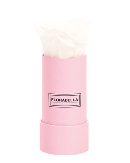 xs-pink-pure-white