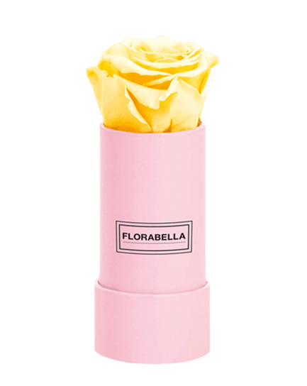 xs-pink-sunny-yellow