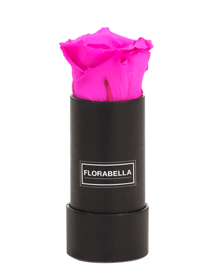 xs-schwarz-classic-hot-pink