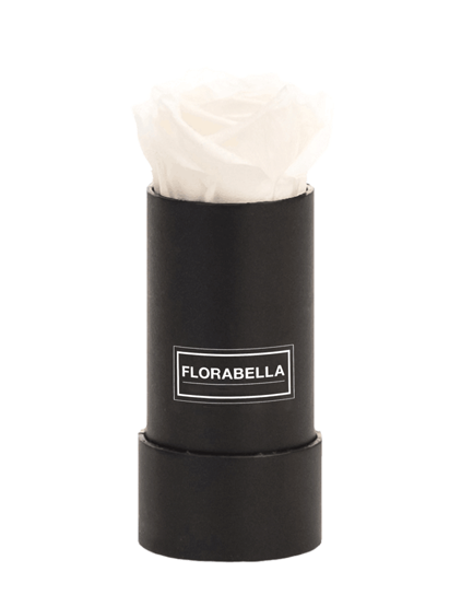 xs-schwarz-classic-pure-white