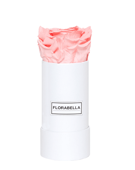 xs-weiss-classic-bridal-pink