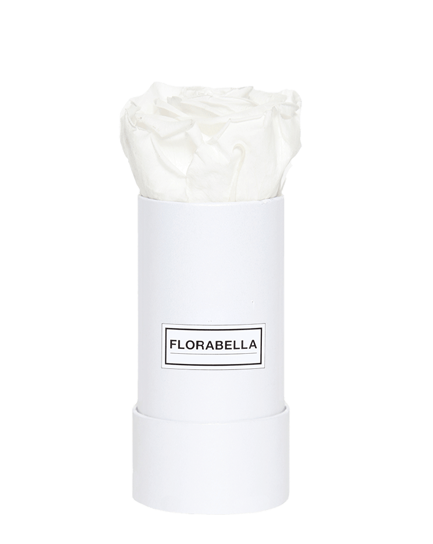 xs-weiss-classic-pure-white